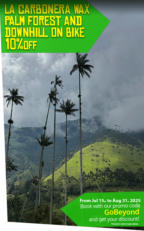 Beyond Colombia Tours | Tour: La Carbonera Wax Palm Forest Hike & Downhill on Bike