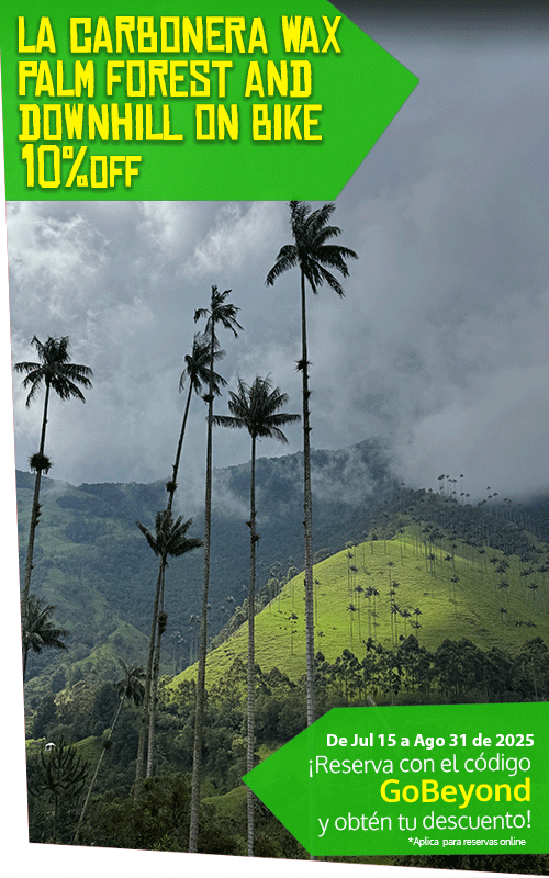 Beyond Colombia Tours | Tour: La Carbonera Wax Palm Forest Hike & Downhill on Bike