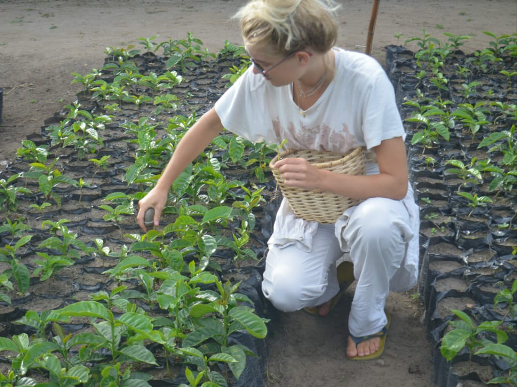 Beyond Colombia Tours | Tour: Buenos Aires Family Coffee Farm Experience