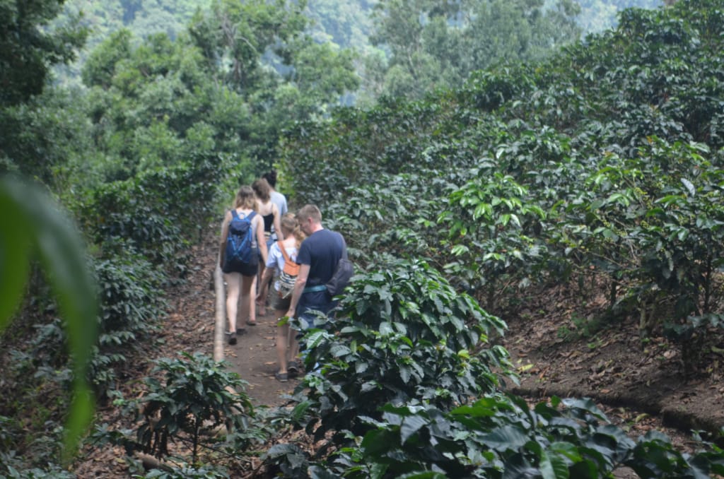 Beyond Colombia Tours | Tour: Buenos Aires Family Coffee Farm Experience