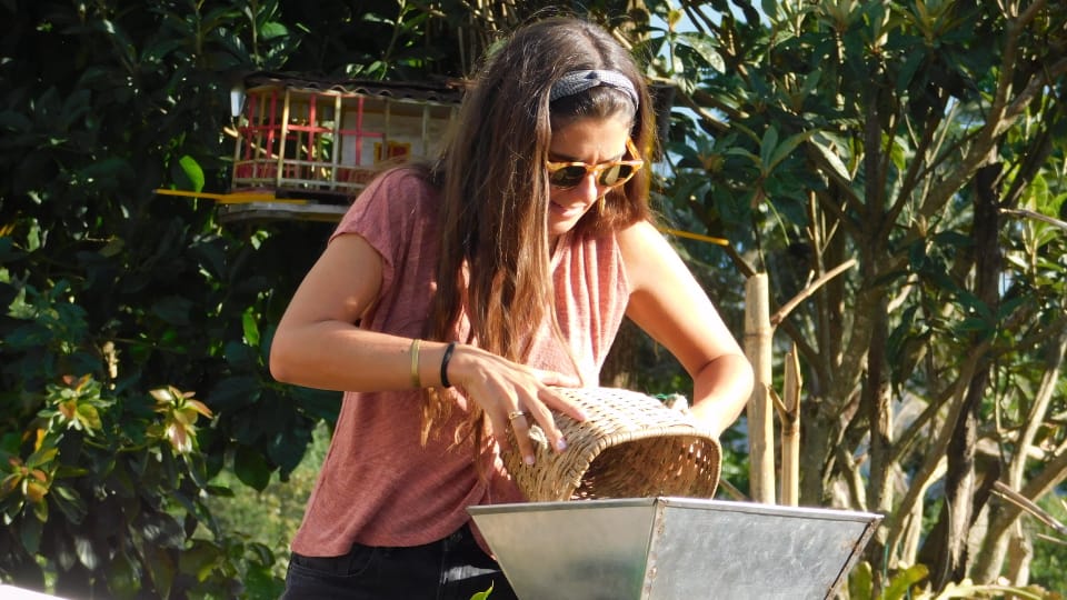 Beyond Colombia Tours | Tour: Buenos Aires Family Coffee Farm Experience