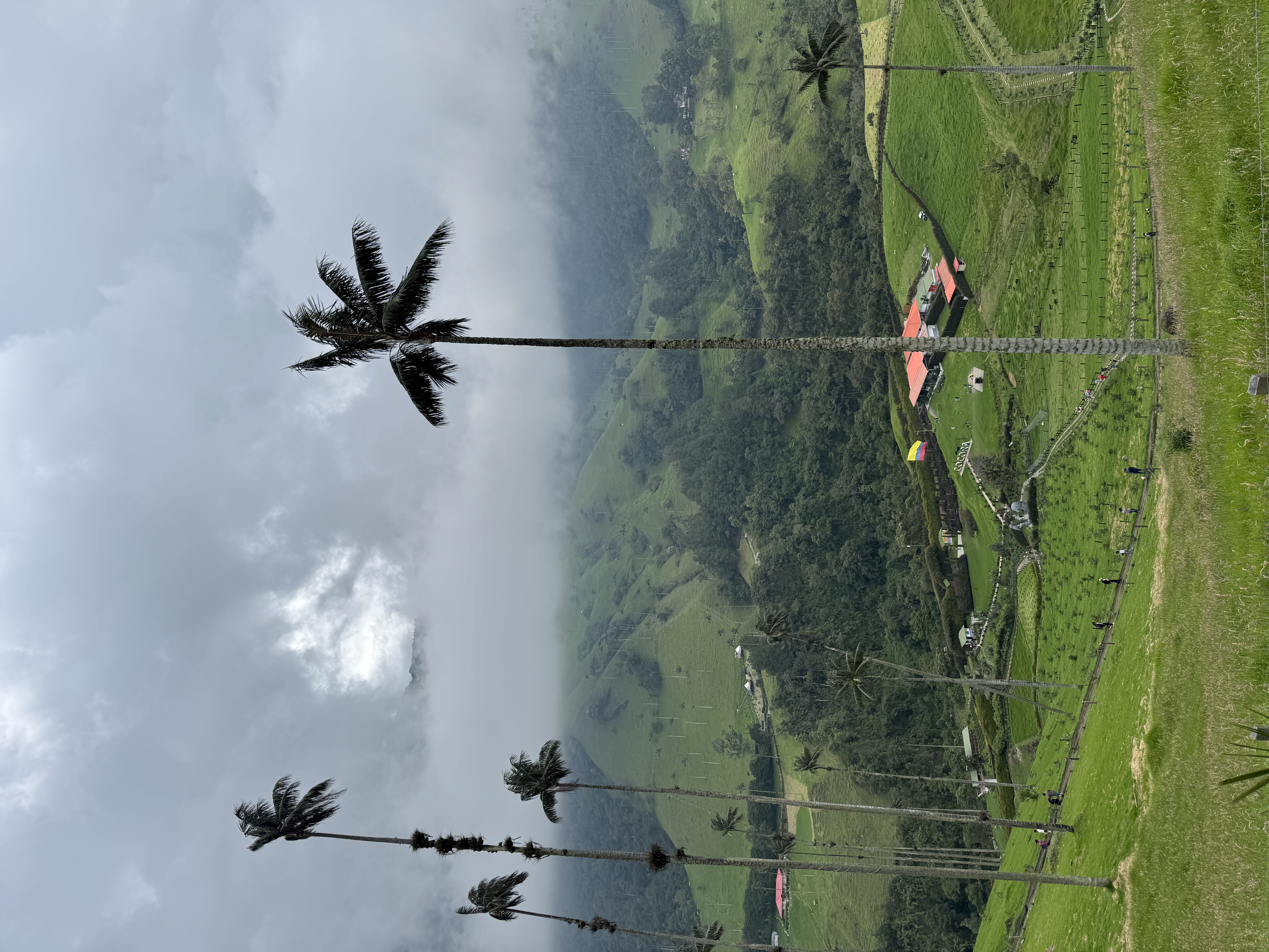 Beyond Colombia Tours | Tour: La Carbonera Wax Palm Forest Hike & Downhill on Bike