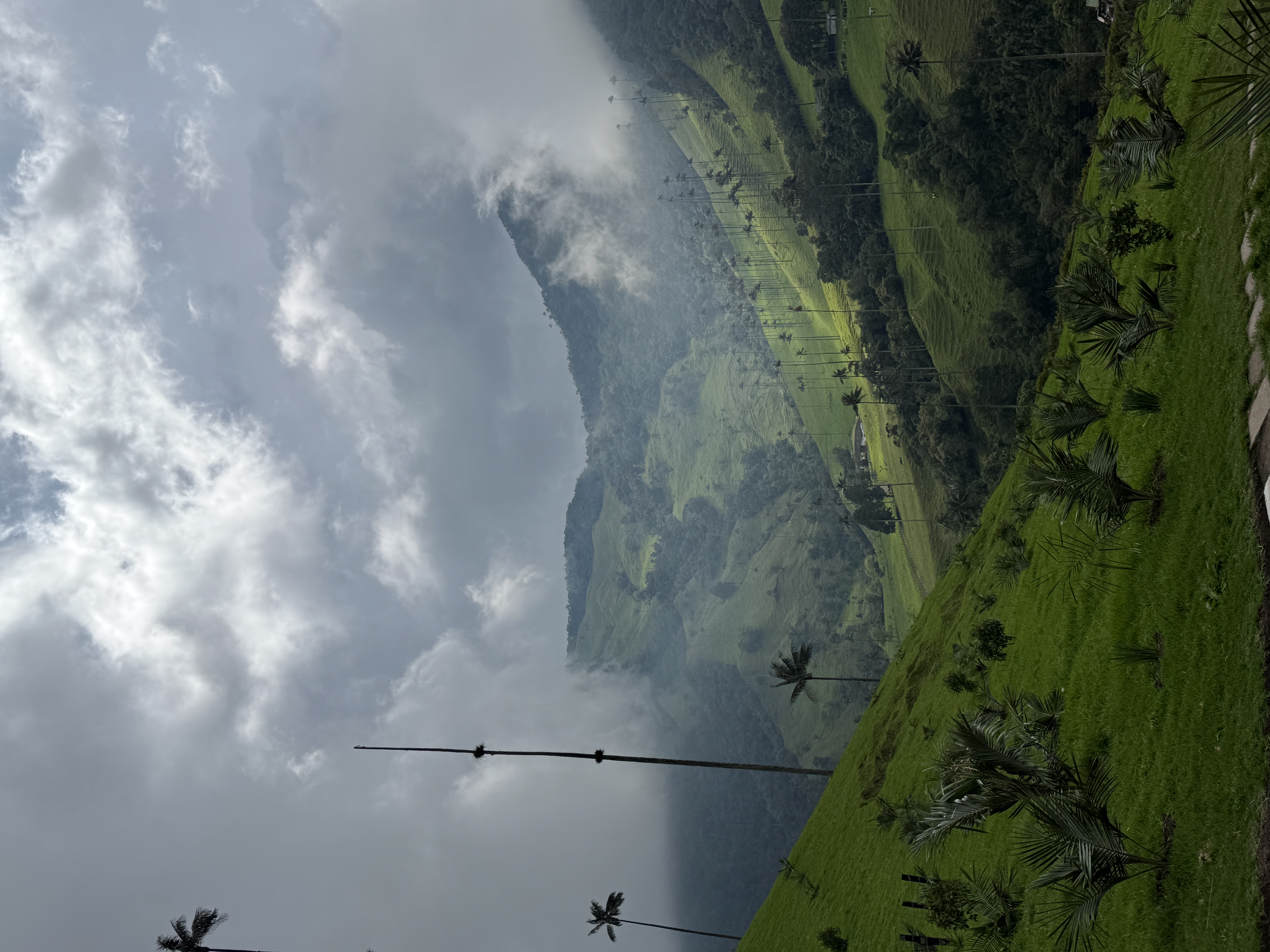 Beyond Colombia Tours | Tour: La Carbonera Wax Palm Forest Hike & Downhill on Bike