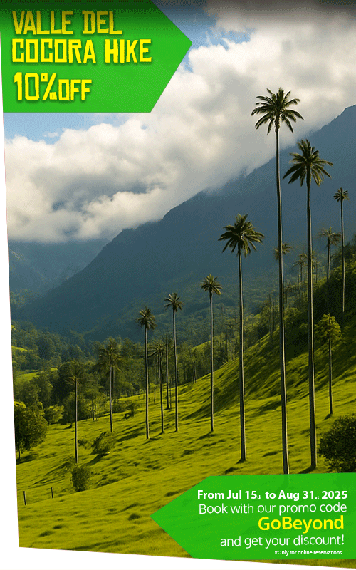 Beyond Colombia Tours | Tour: Cocora Wax Palm Valley Hike Tour Experience (3h)