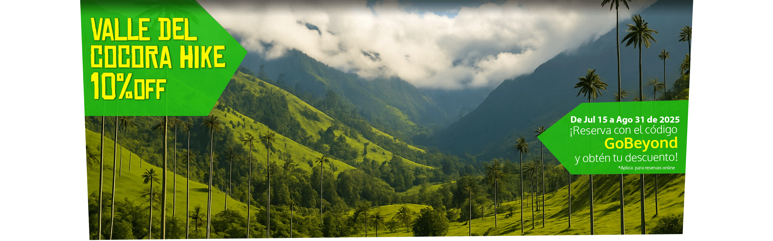 Beyond Colombia Tours | Tour: Caminata Valle de Palmas de Cera de Cocora Tour (3h)