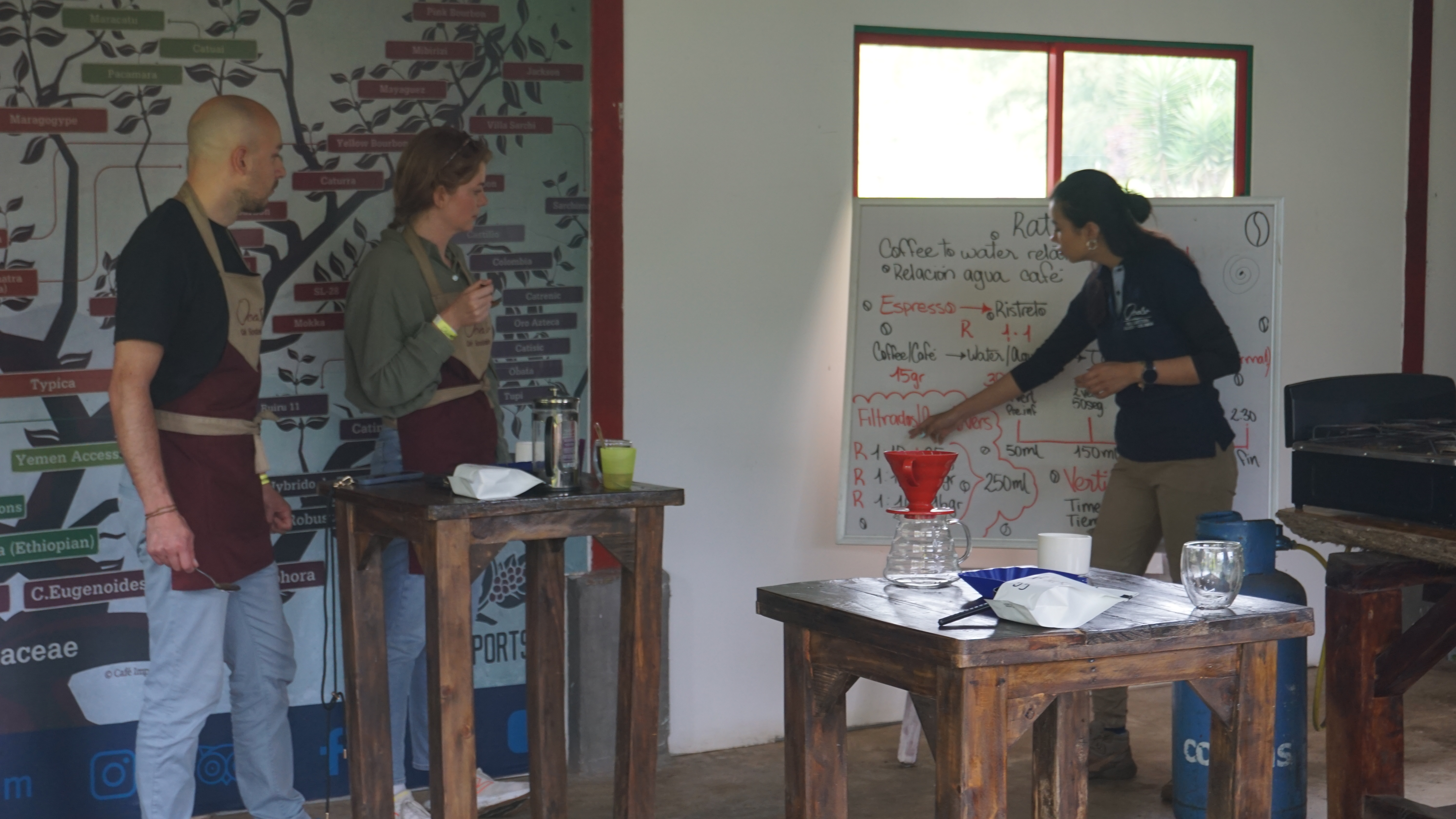 Beyond Colombia Tours | Tour: El Ocaso Coffee Farm Tour in Salento