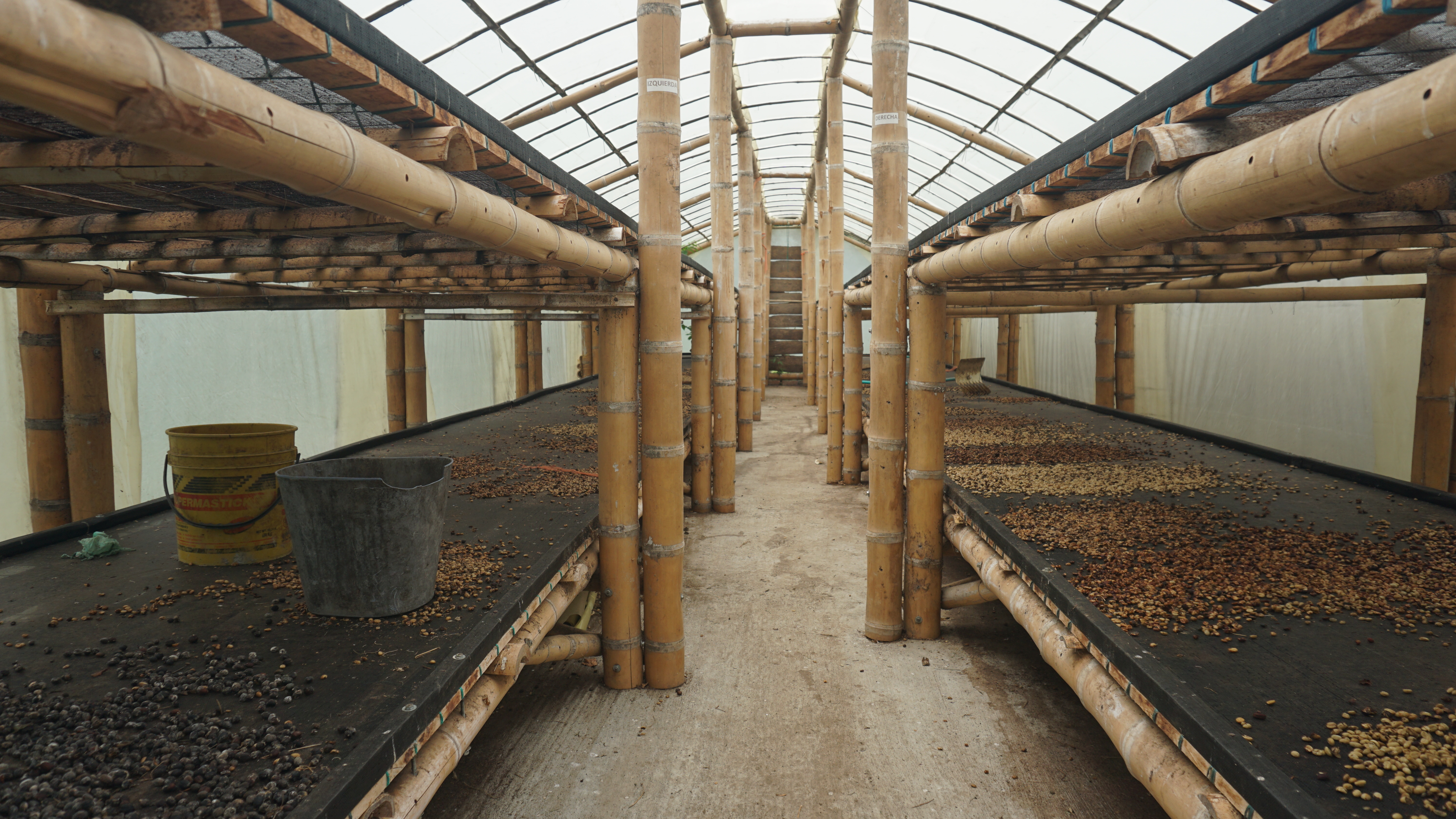 Beyond Colombia Tours | Tour: El Ocaso Coffee Farm Tour in Salento