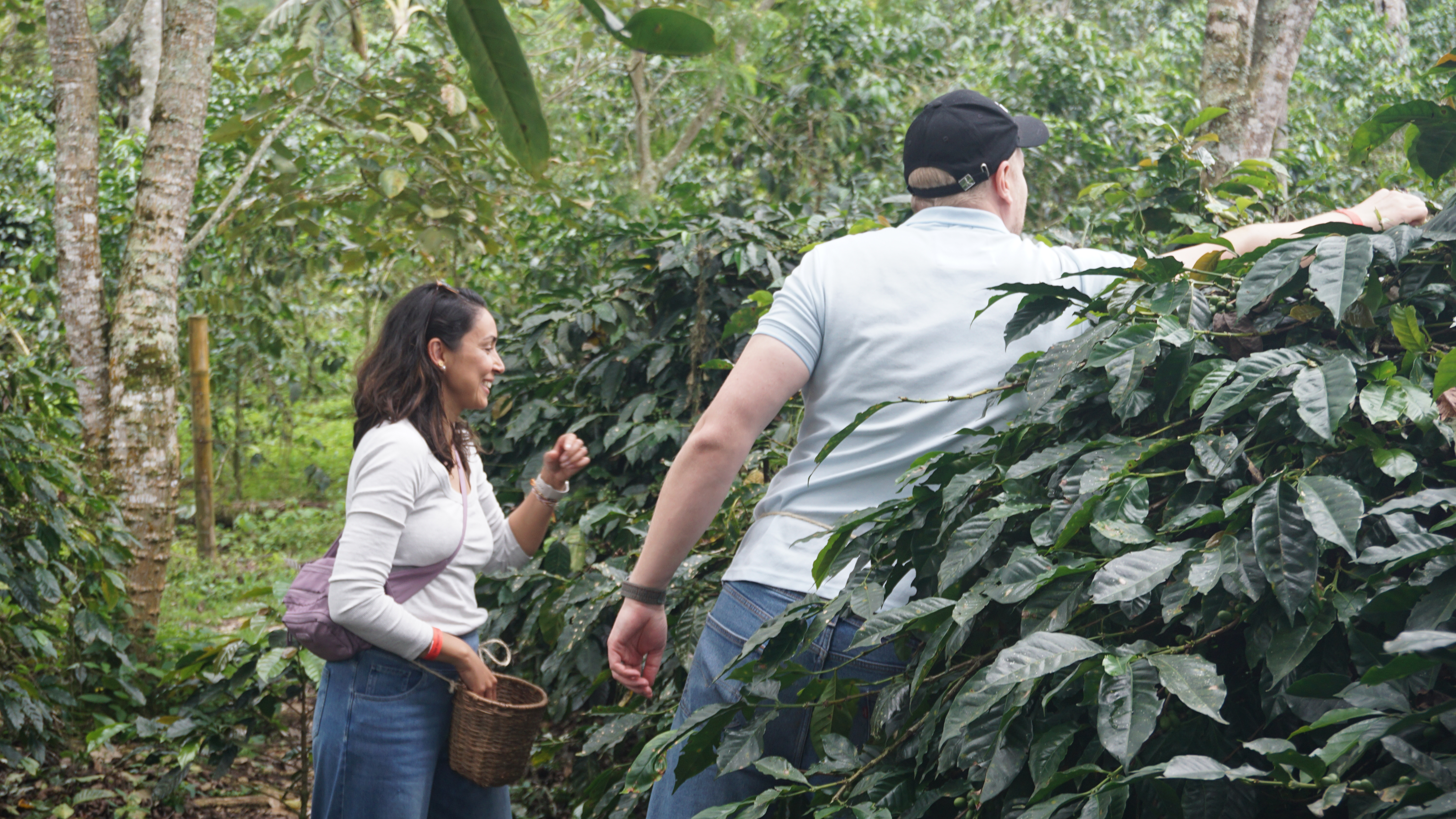 Beyond Colombia Tours | Tour: El Ocaso Coffee Farm Tour in Salento