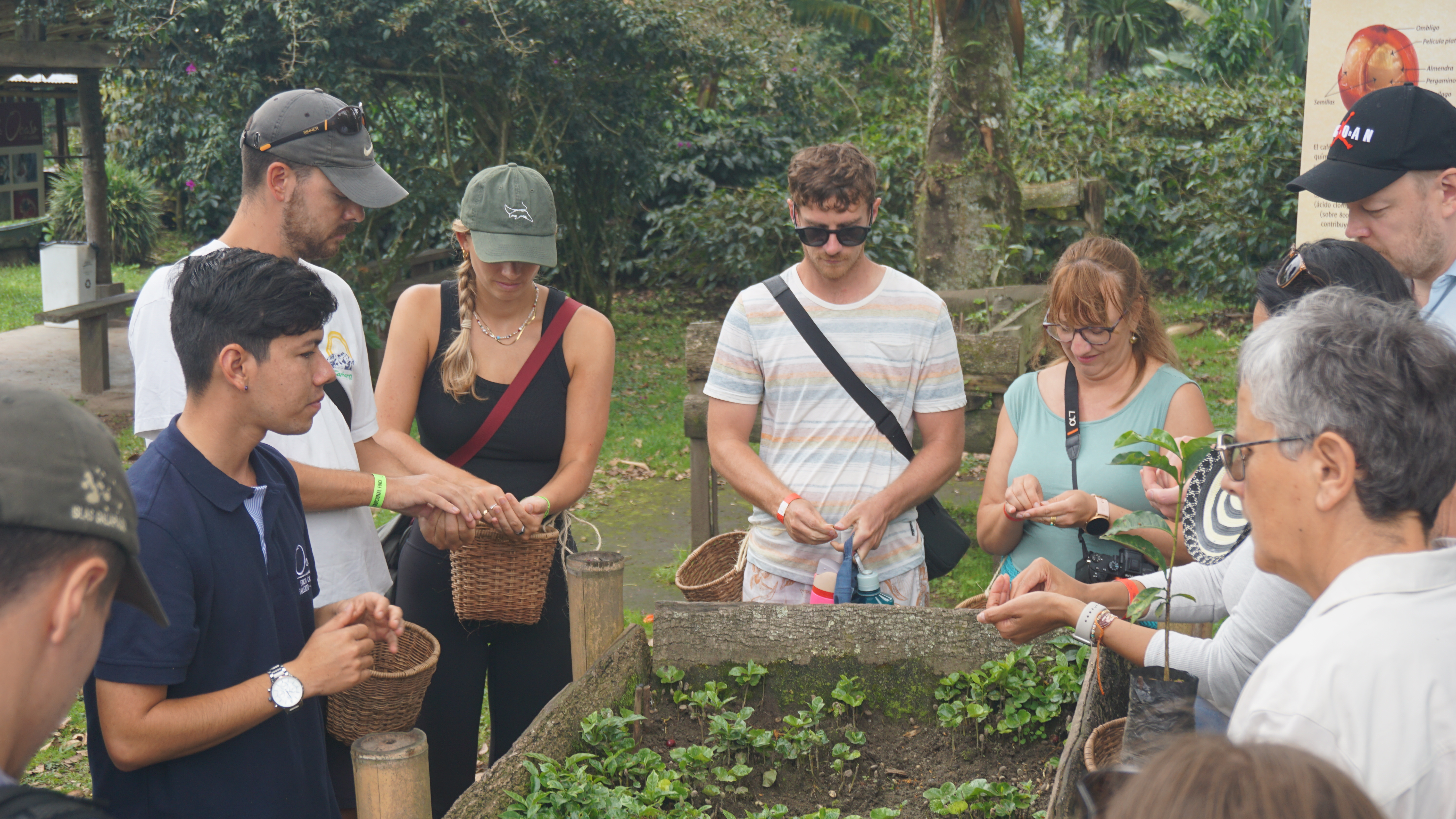 Beyond Colombia Tours | Tour: El Ocaso Coffee Farm Tour in Salento
