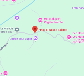 Beyond Colombia Tours | El Ocaso Coffee Farm Tour in Salento