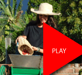 Beyond Colombia Tours | Buenos Aires Family Coffee Farm Experience