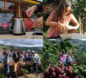 Beyond Colombia Tours | Buenos Aires Family Coffee Farm Experience