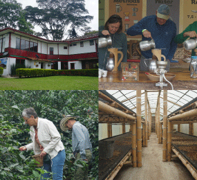 Beyond Colombia Tours | El Ocaso Coffee Farm Tour in Salento