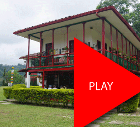 Beyond Colombia Tours | El Ocaso Coffee Farm Tour in Salento
