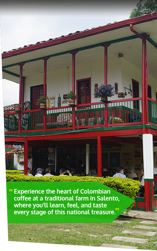 Beyond Colombia Tours | Tour: El Ocaso Coffee Farm Tour in Salento