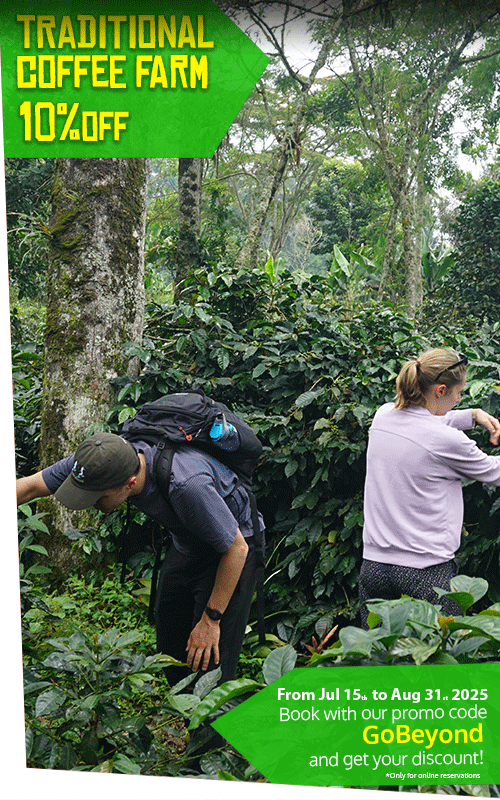 Beyond Colombia Tours | Tour: El Ocaso Coffee Farm Tour in Salento