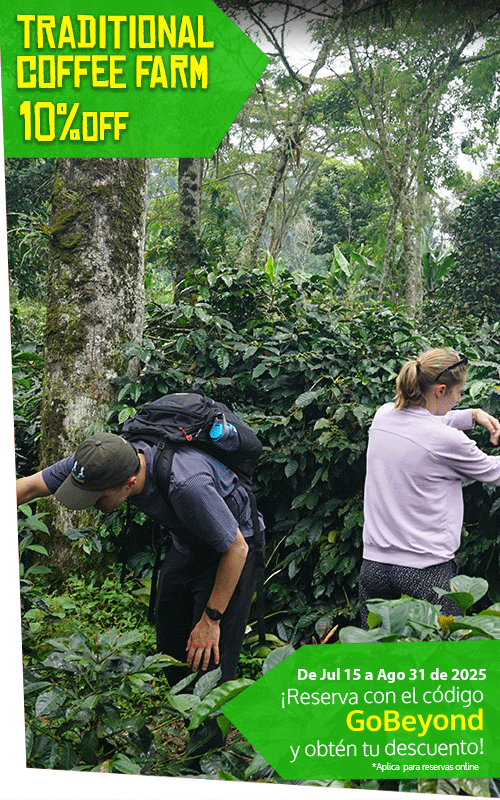 Beyond Colombia Tours | Tour: El Ocaso Coffee Farm Tour in Salento
