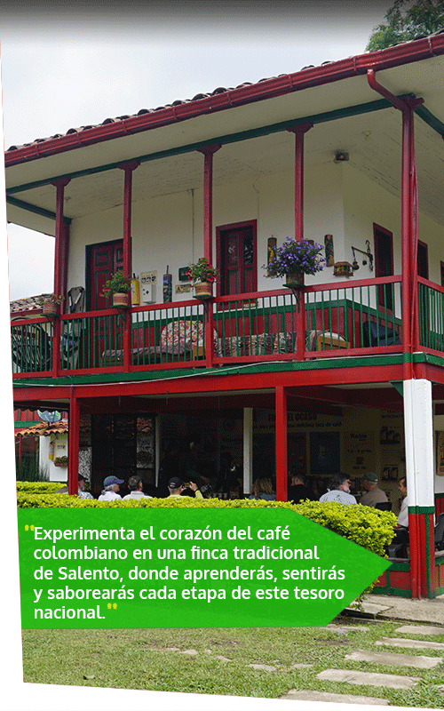 Beyond Colombia Tours | Tour: El Ocaso Coffee Farm Tour in Salento