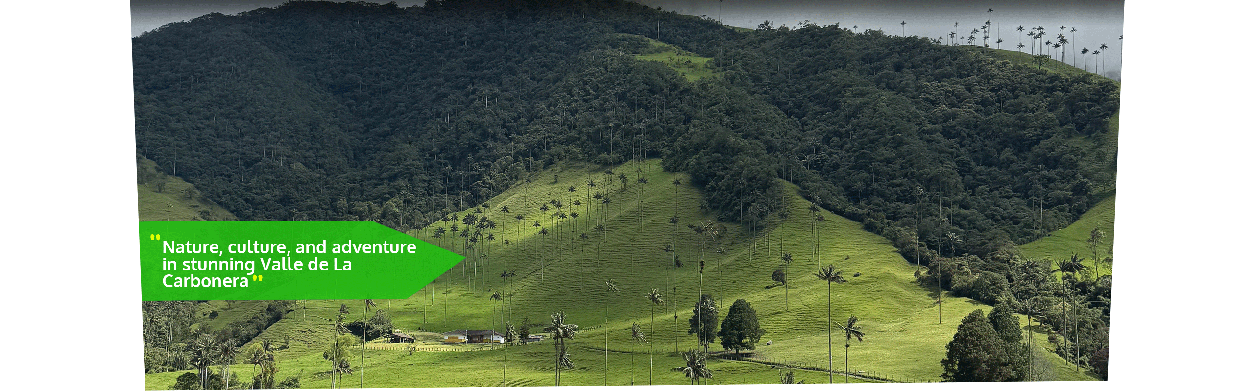Beyond Colombia Tours | Tour: La Carbonera Wax Palm Forest Hike & Downhill on Bike