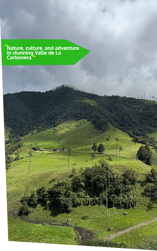 Beyond Colombia Tours | Tour: La Carbonera Wax Palm Forest Hike & Downhill on Bike