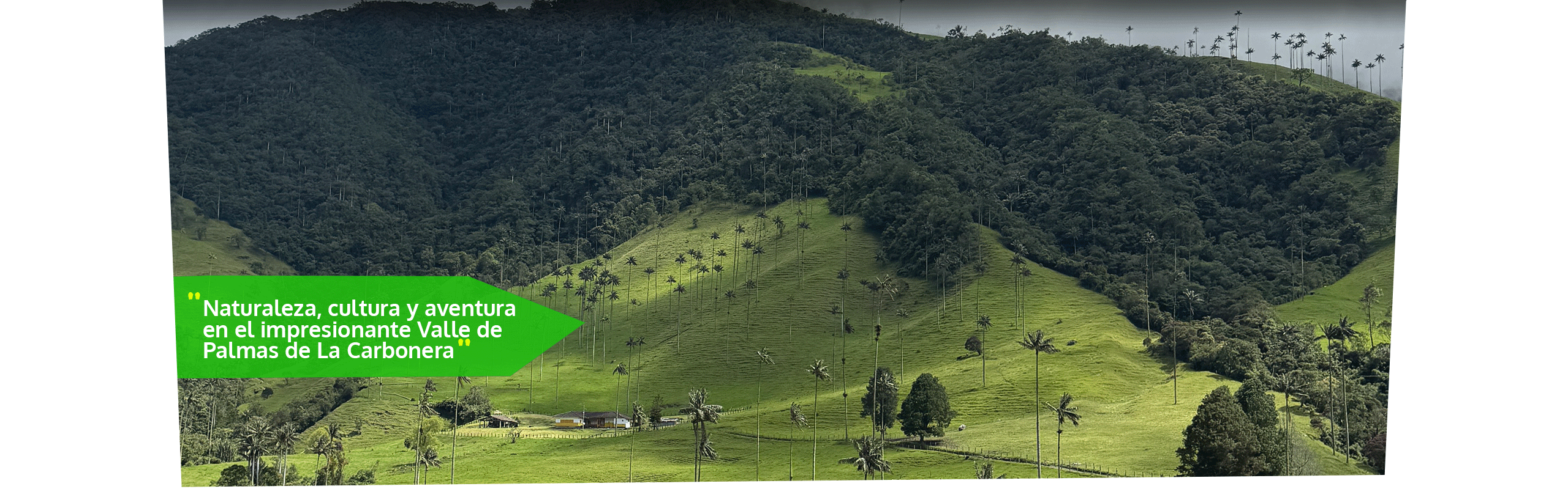 Beyond Colombia Tours | Tour: Caminata a La Carbonera Valle de Palmas & Descenso en Bicicleta