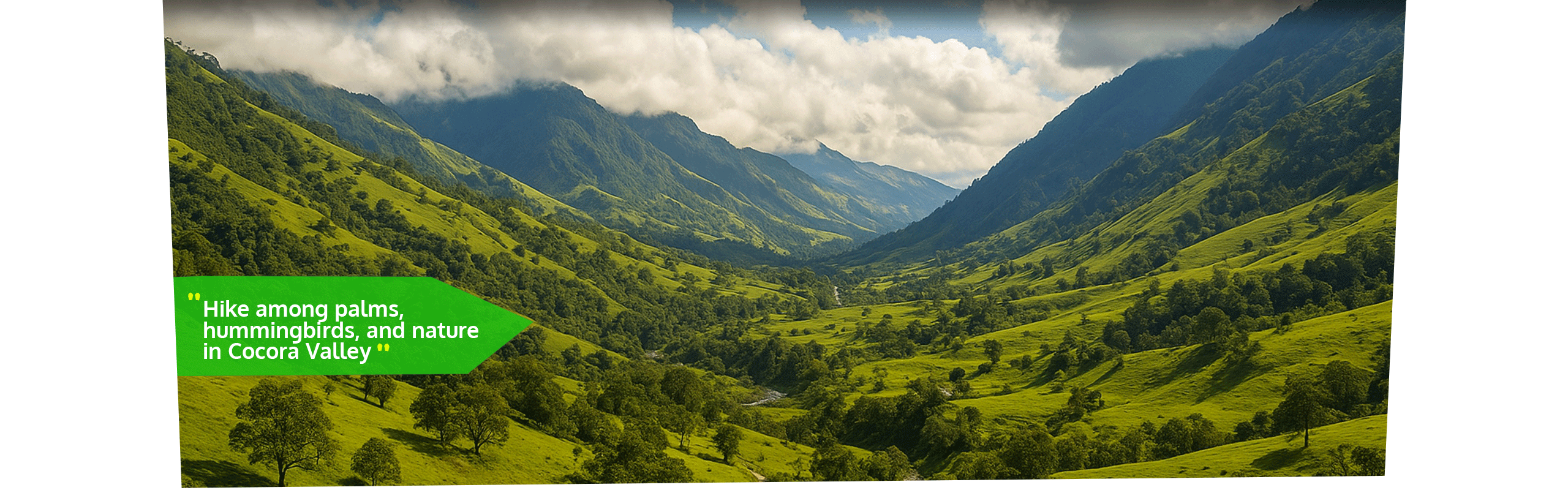 Beyond Colombia Tours | Tour: Cocora Wax Palm Valley Hike Tour Experience (3h)