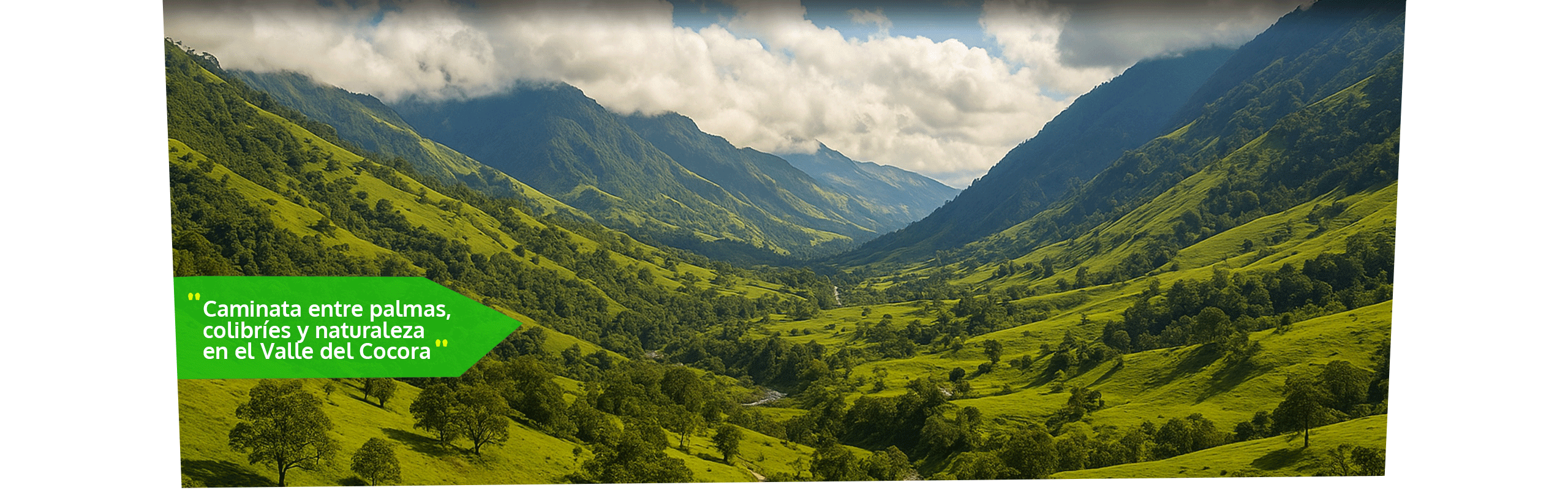 Beyond Colombia Tours | Tour: Caminata Valle de Palmas de Cera de Cocora Tour (3h)