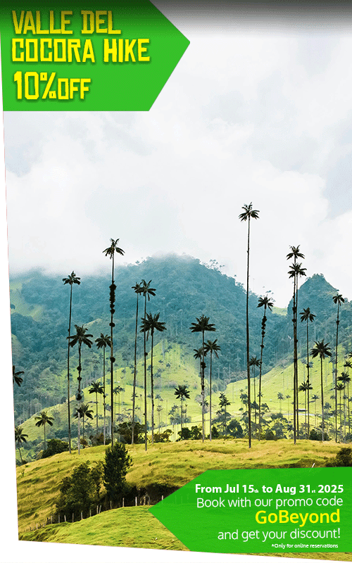 Beyond Colombia Tours | Tour: Cocora Wax Palm Valley Hike Tour Experience (3h)