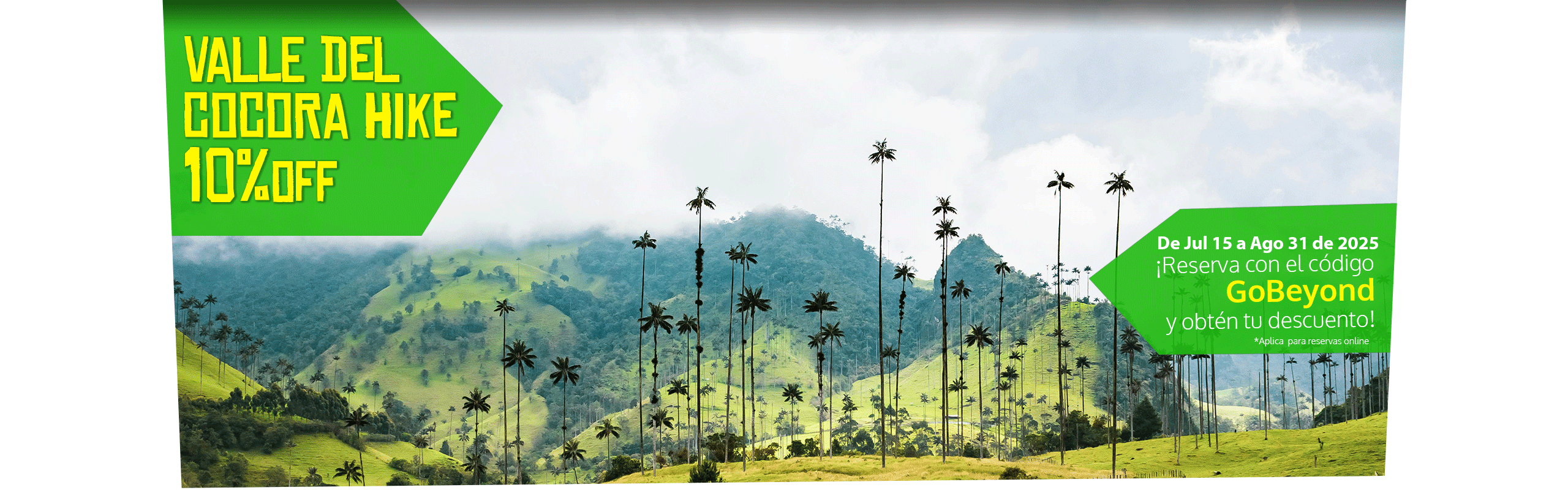 Beyond Colombia Tours | Tour: Caminata Valle de Palmas de Cera de Cocora Tour (3h)