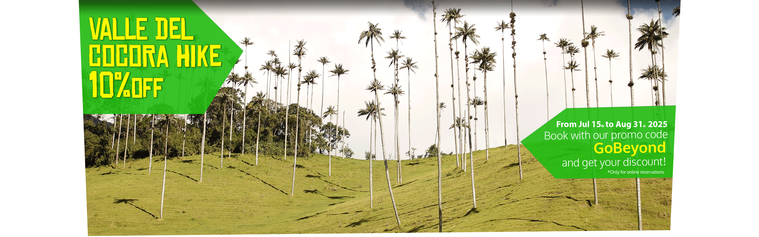 Beyond Colombia Tours | Tour: Valle del Cocora Hike Tour (6h)