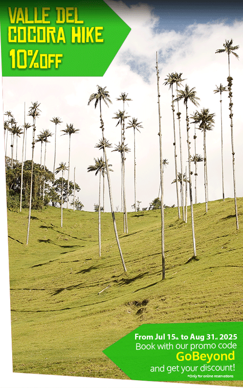 Beyond Colombia Tours | Tour: Valle del Cocora Hike Tour (6h)