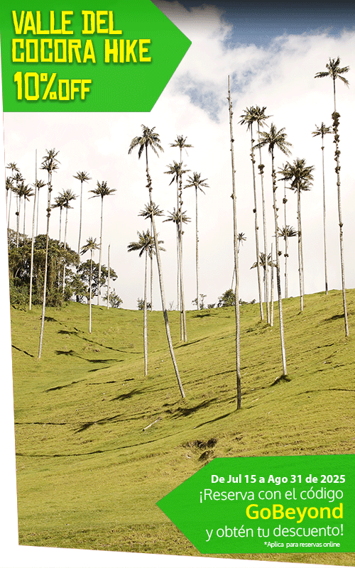 Beyond Colombia Tours | Tour: Valle del Cocora Hike Tour (6h)