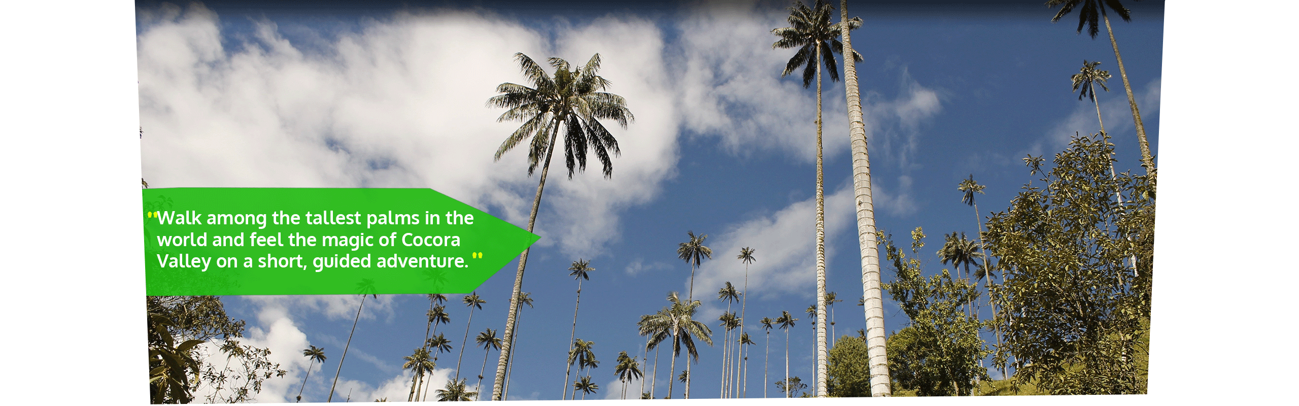 Beyond Colombia Tours | Tour: Valle del Cocora Hike Tour (6h)