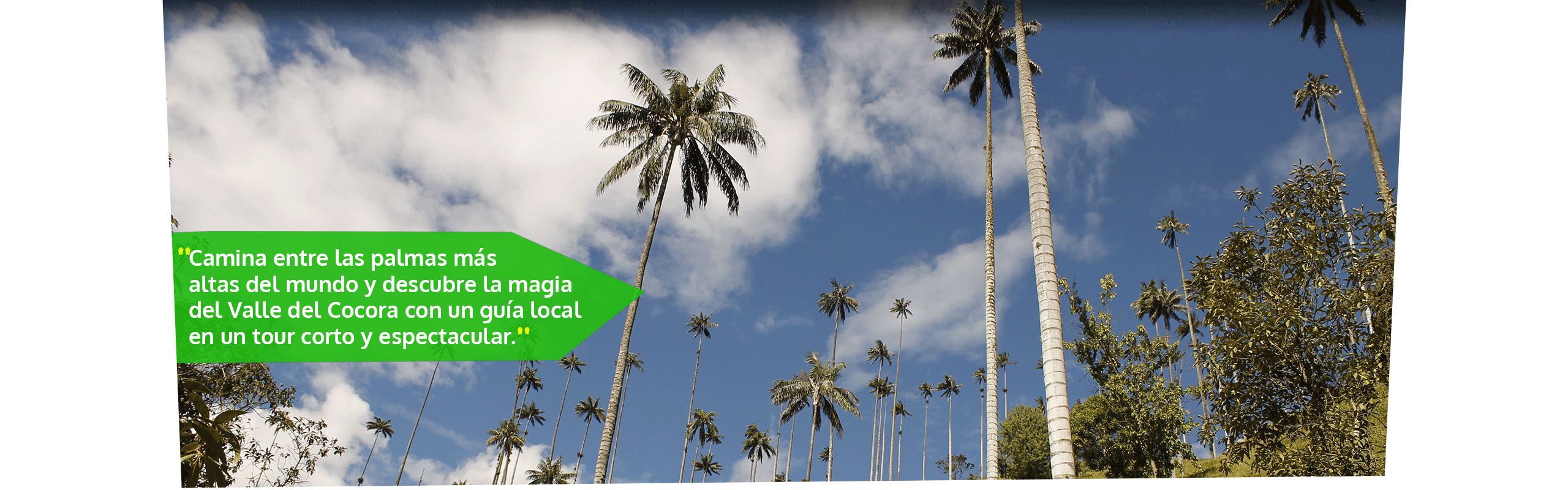 Beyond Colombia Tours | Tour: Caminata Valle del Cocora Tour (6h)