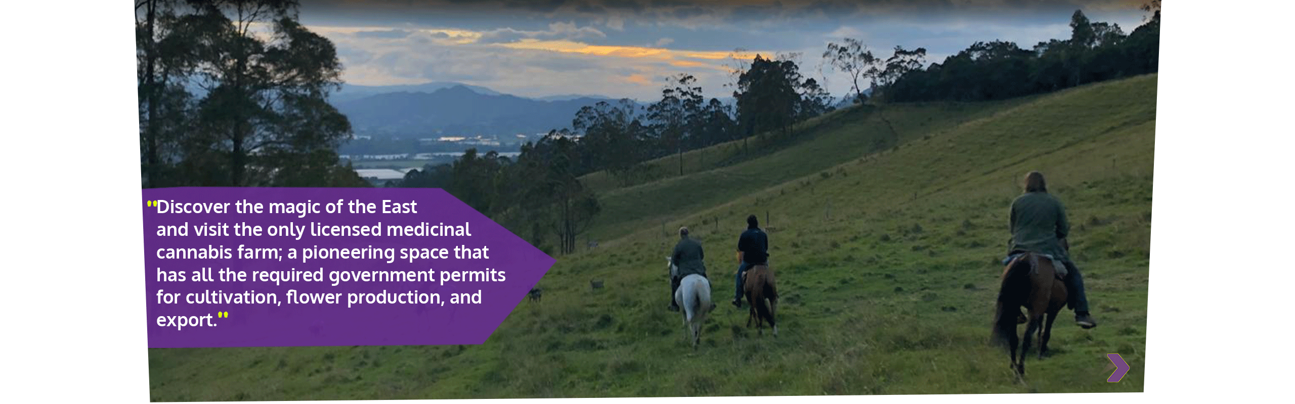 Beyond Colombia Tours | Tour: Medicinal Cannabis Farm Experience