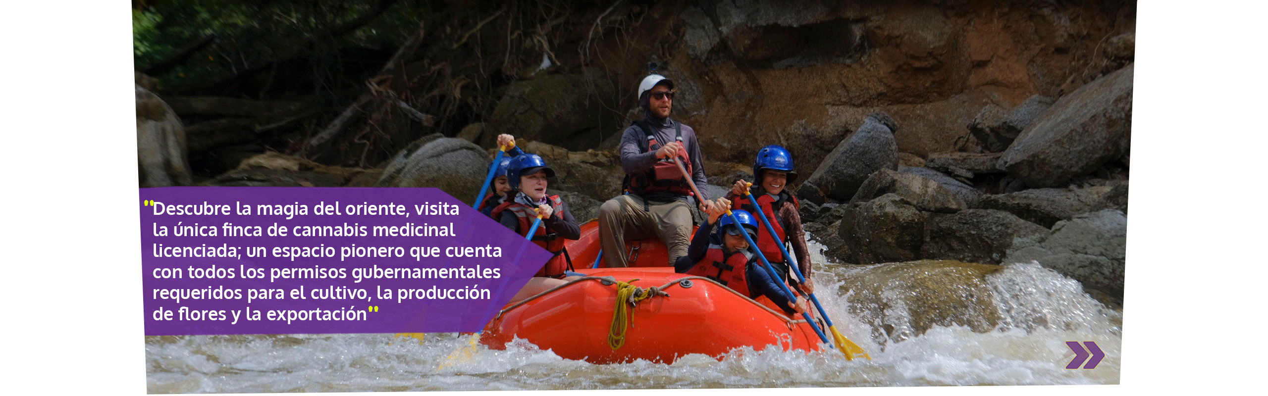 Beyond Colombia Tours | Tour: Experiencia de Finca de Cannabis Medicinal