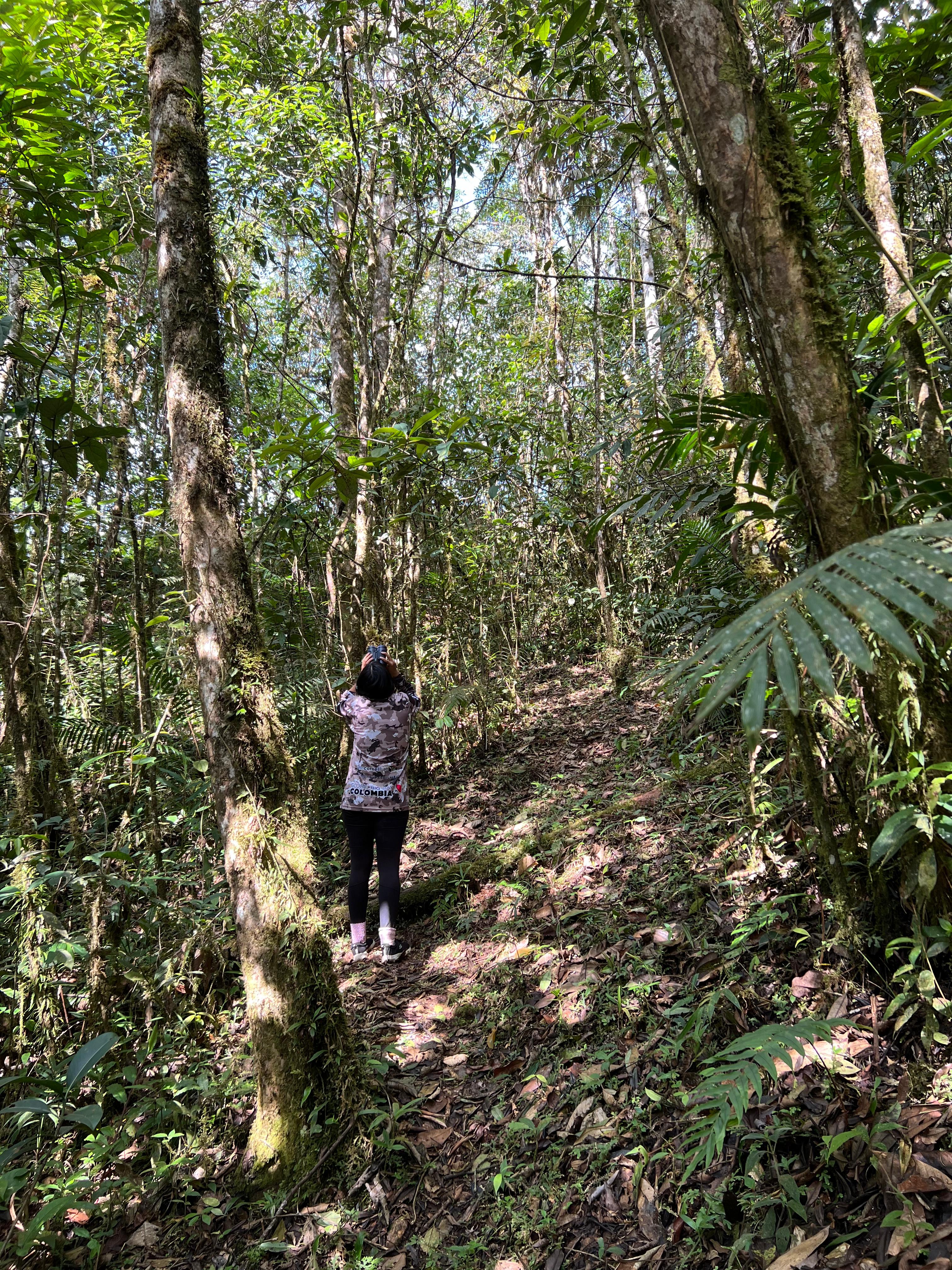 Beyond Colombia Tours | Tour: Birdwatching Tour at KM 18