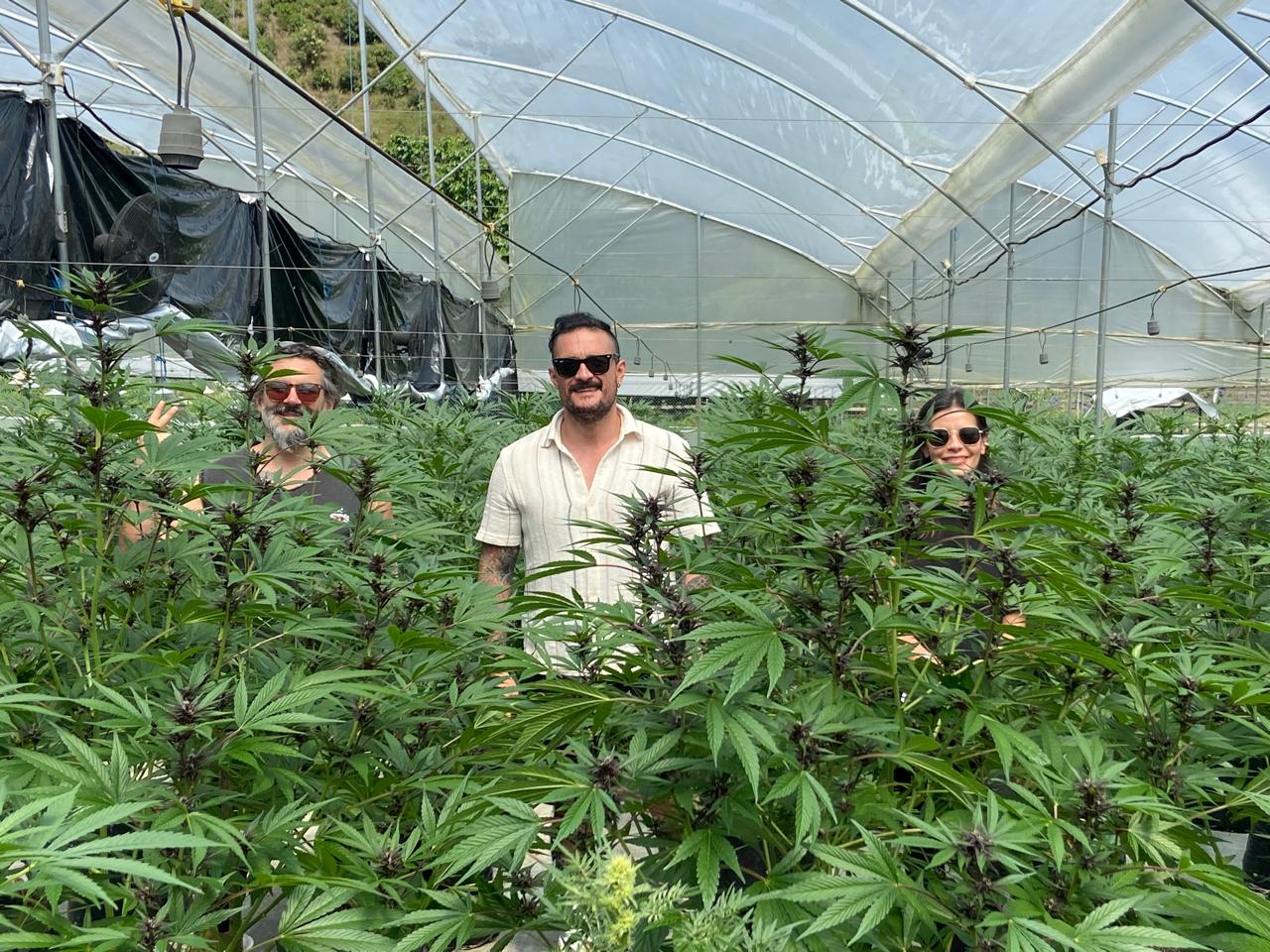 Beyond Colombia Tours | Tour: Medicinal Cannabis Farm Experience