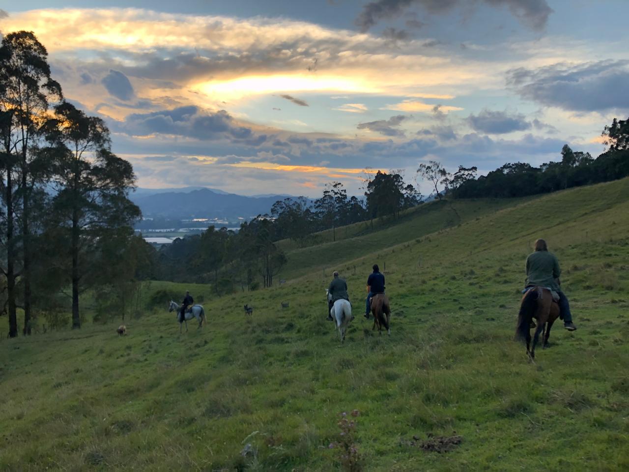 Beyond Colombia Tours | Tour: Medicinal Cannabis Farm Experience