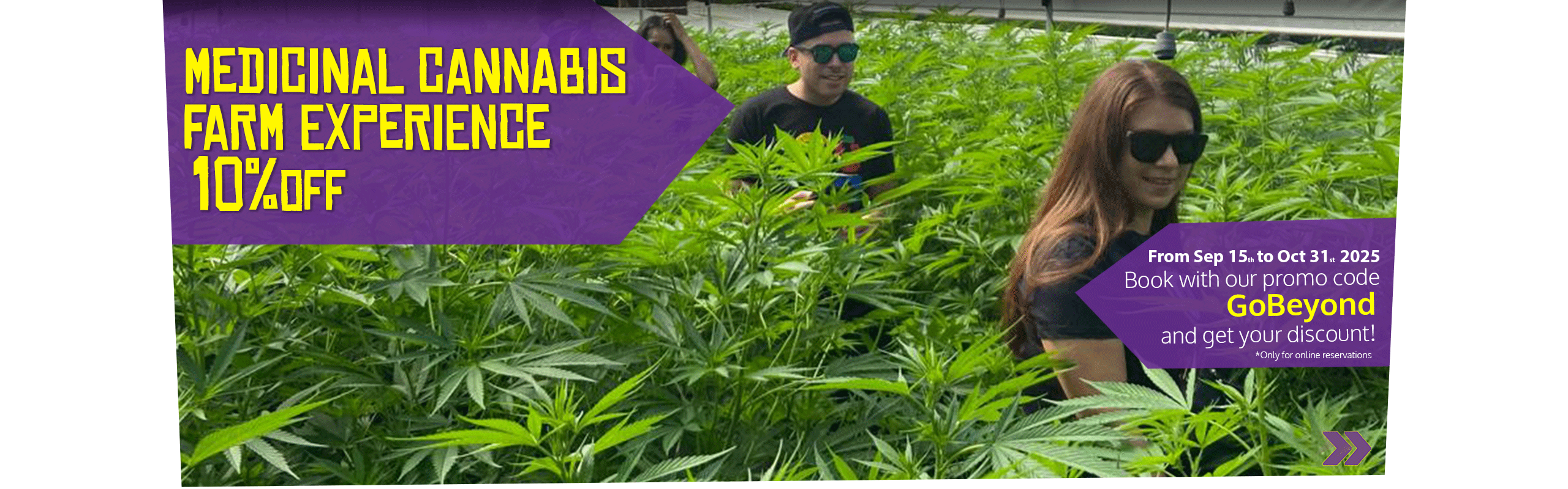 Beyond Colombia Tours | Tour: Medicinal Cannabis Farm Experience