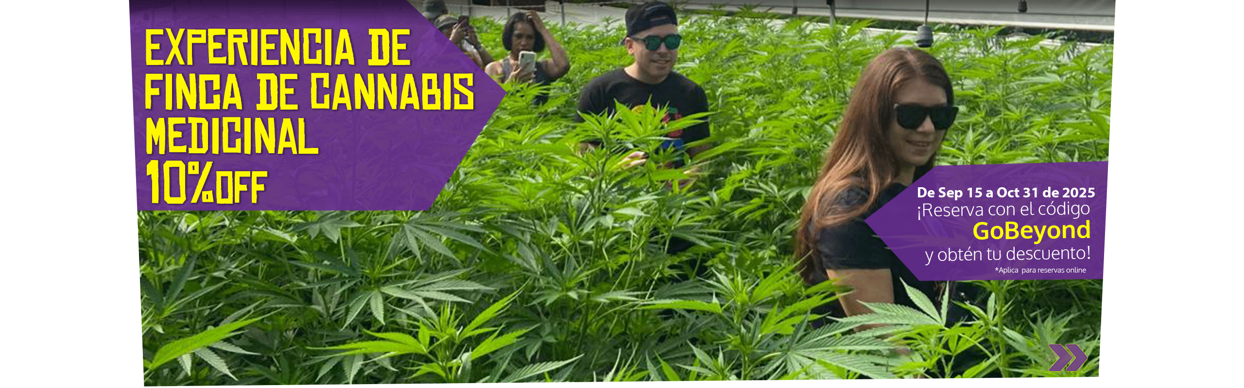 Beyond Colombia Tours | Tour: Experiencia de Finca de Cannabis Medicinal