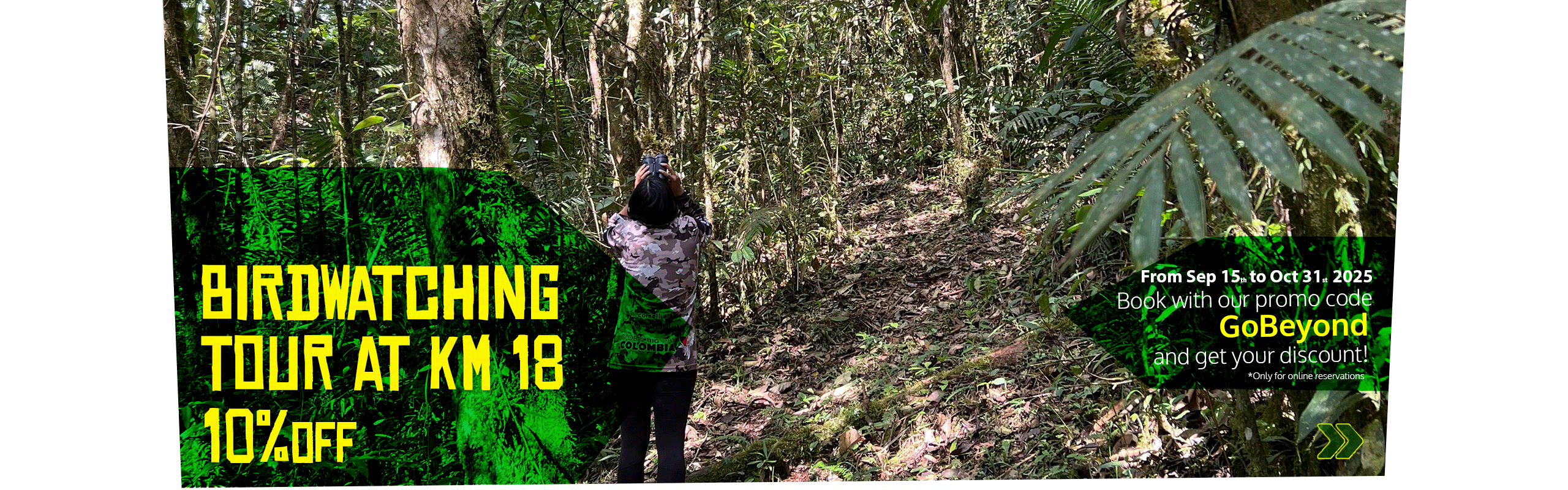 Beyond Colombia Tours | Tour: Birdwatching Tour at KM 18