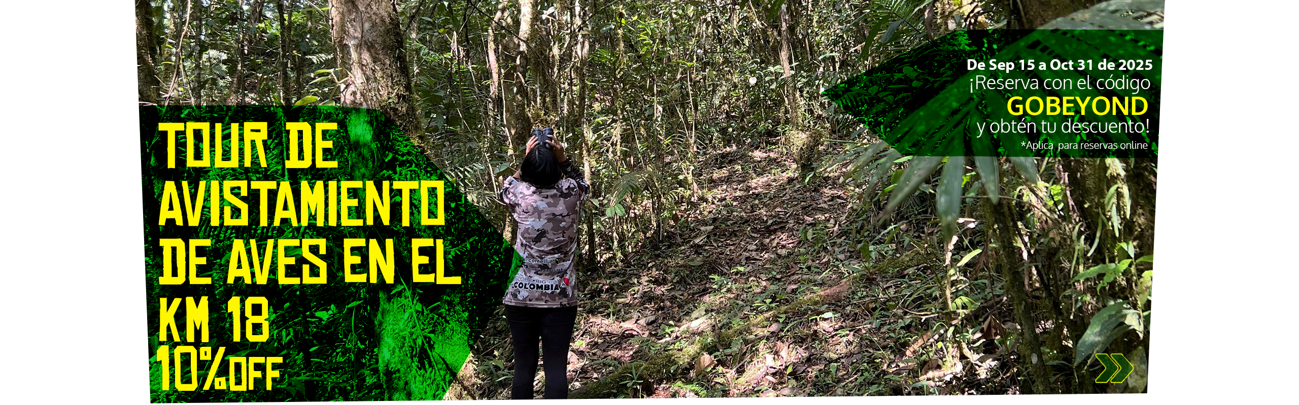 Beyond Colombia Tours | Tour: Tour de Avistamiento de Aves en el KM 18