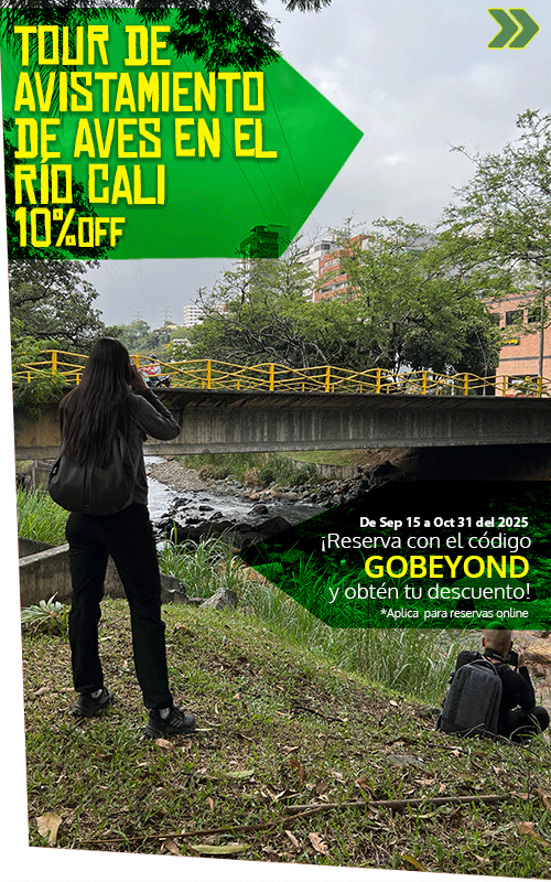 Beyond Colombia Tours | Tour: Birdwatching Tour at Cali River