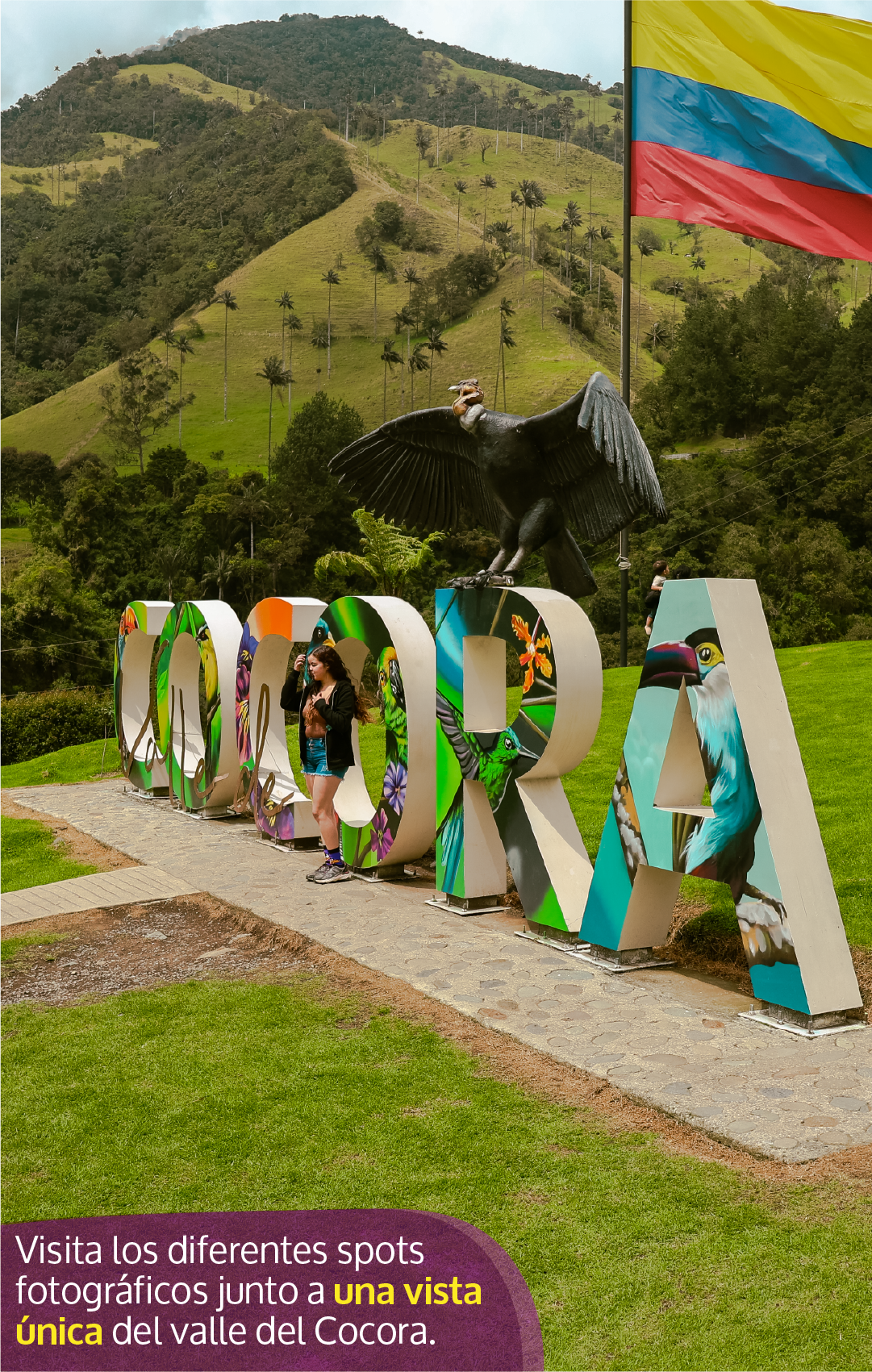 Beyond Colombia Tours | Tour: Valle del Cocora Hike Tour (6h)
