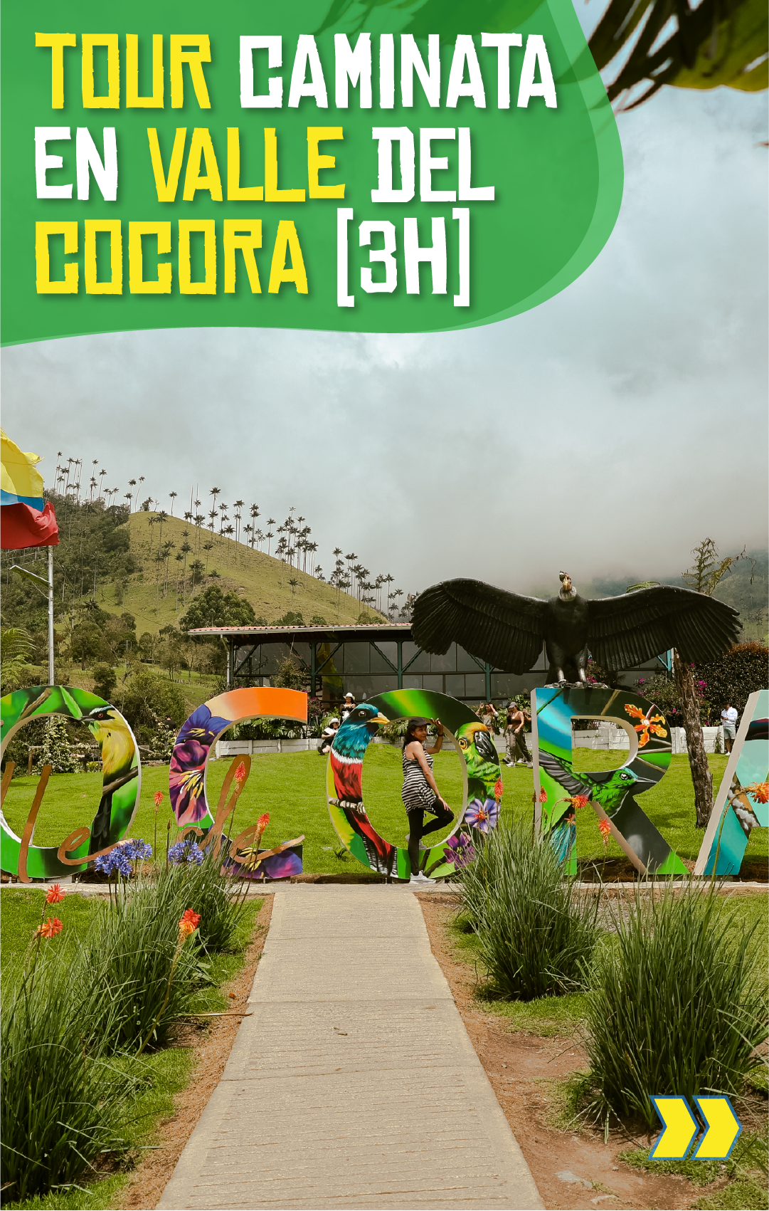 Beyond Colombia Tours | Tour: Cocora Wax Palm Valley Hike Tour Experience (3h)