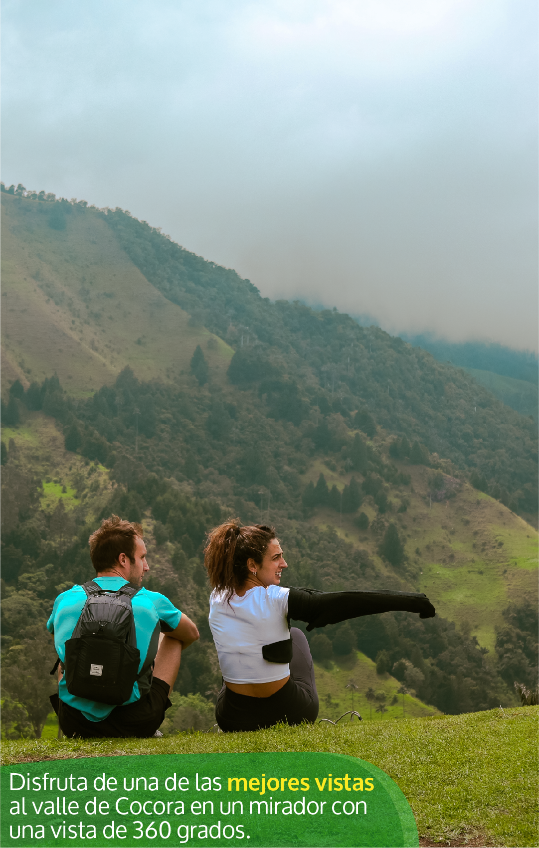 Beyond Colombia Tours | Tour: Cocora Wax Palm Valley Hike Tour Experience (3h)