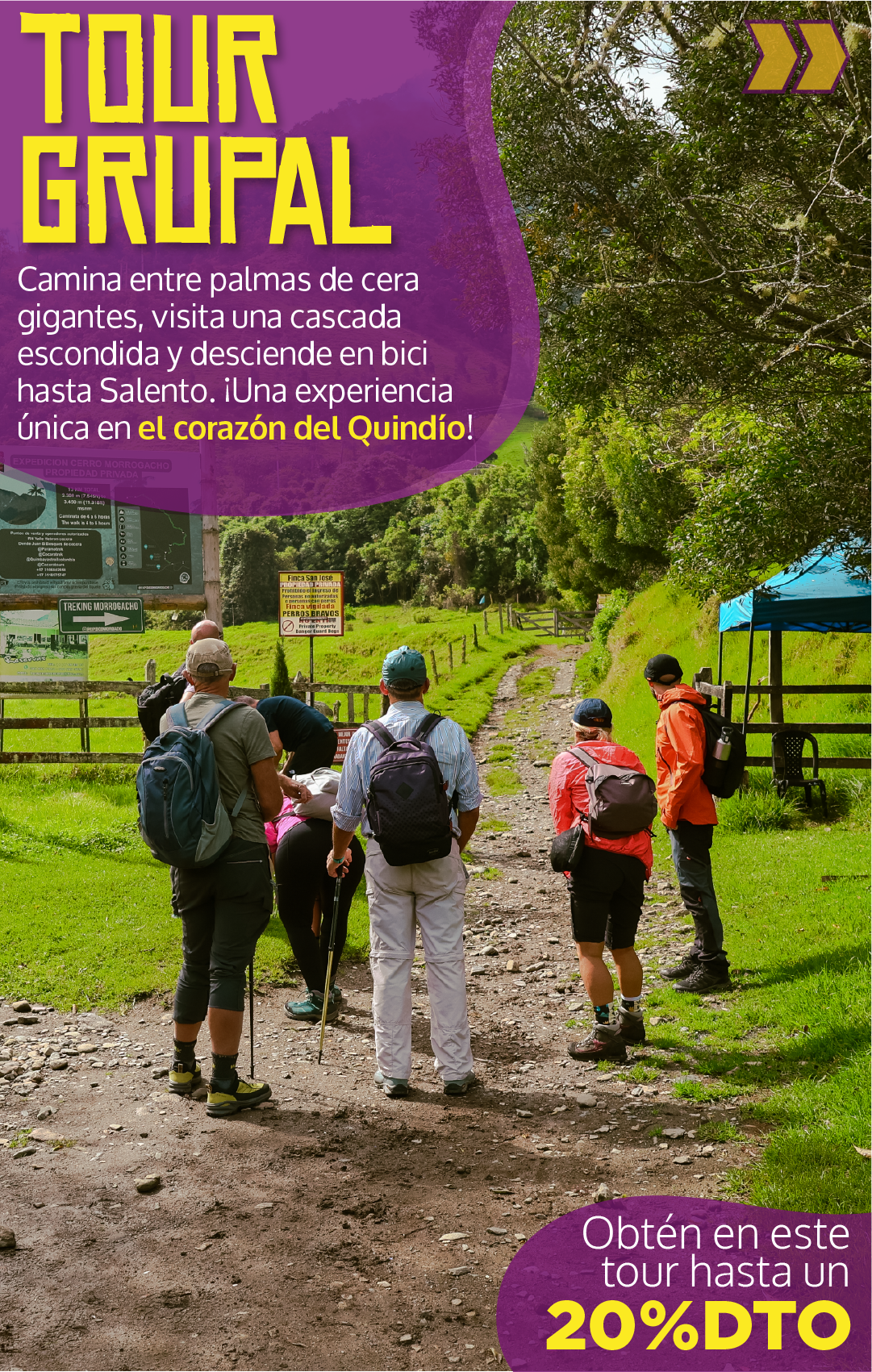 Beyond Colombia Tours | Tour: La Carbonera Wax Palm Forest Hike & Downhill on Bike