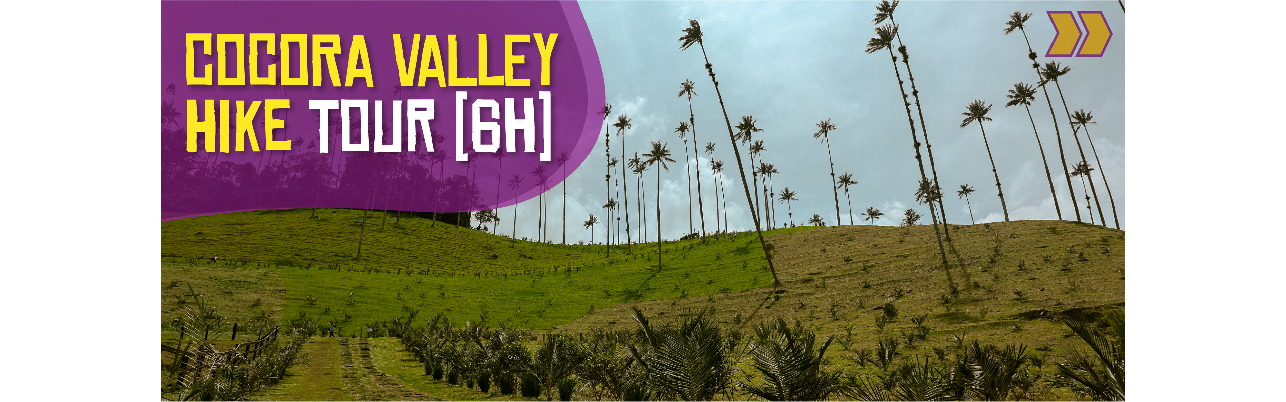 Beyond Colombia Tours | Tour: Valle del Cocora Hike Tour (6h)