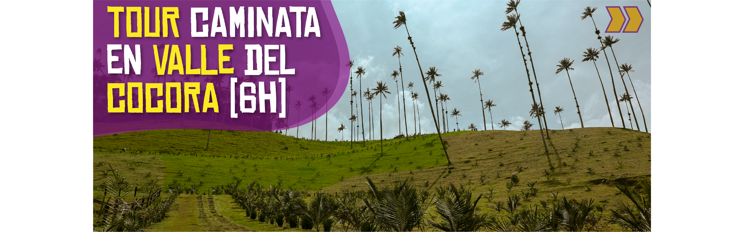 Beyond Colombia Tours | Tour: Caminata Valle del Cocora Tour (6h)